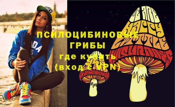 экстази Богородицк
